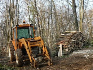 Le commerce illégal de bois de chauffage représente 75% du marché en France, photo Frédéric Douard