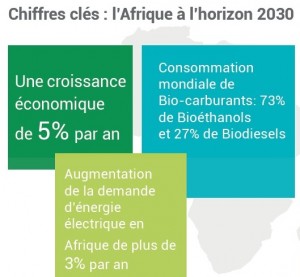 Chiffres clés de l'Afrique