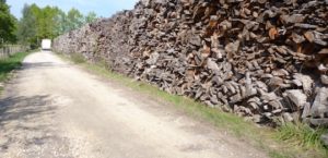 Stock de dosses et délignures sur la plateforme de Gascogne Wood Products à Paleyrac, photo Frédéric Douard