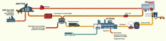 Schéma de la filière ESTENER - Cliquer pour agrandir