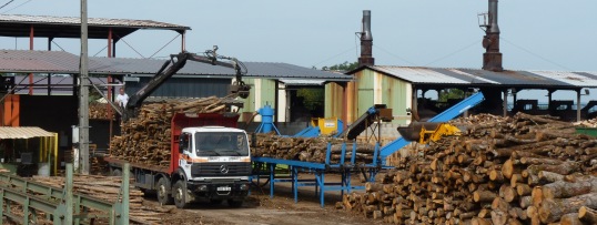 La plateforme bûches et charbon de bois du groupe Gascogne à Saint-Pardoux-et-Vielvic, photo Frédéric Douard