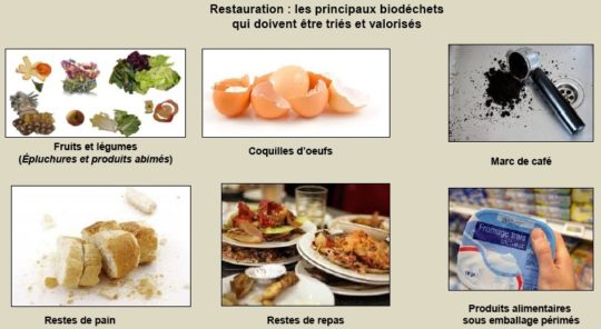 Les principaux biodéchets, ADEME