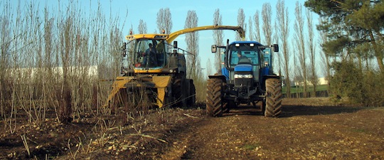 Récolte du taillis, photo Chambre d'agriculture du Loiret