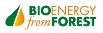 Bioenergy from forest