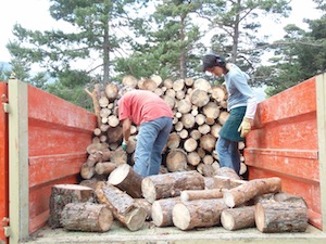 Chargement de bois bûche, photo Dryade 26