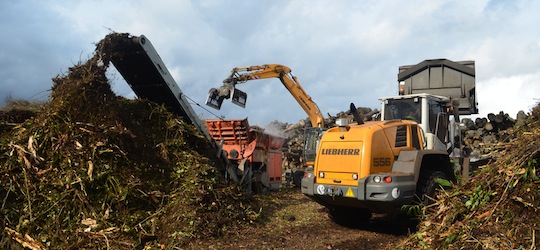 Broyage de déchets verts sur la plateforme CVE de Chalifert, photo Frédéric Douard