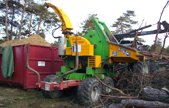 La déchiqueteuse Heizohack en forêt de pins noirs, photo Lionel Seigner