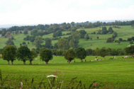 Bocage, CA de Normandie