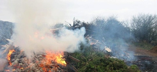 Brûlage de déchets verts à l'air libre, photo Sud Ouest