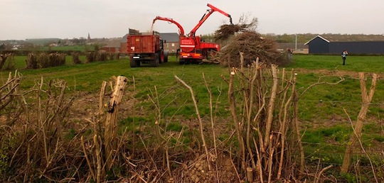 Déchiquetage dans le bocage, photo ValBiom