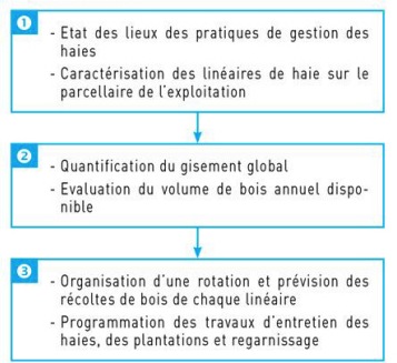 Les étapes du Plan de gestion des haies