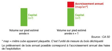 Prélèvement annuel, ne pas entamer le capital