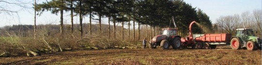 Chantier de déchiquetage sur parcelle agricoles, après recépage de châtaigner, photo Aile