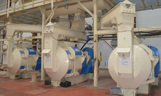 Les presses Promill de Pellet Land, photo Frédéric Douard