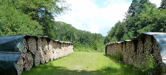 Ballots de bois de chauffage en Argovie, photo Frédéric Douard