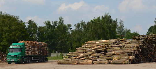 Livraison de bois sur le parc de la centrale biomasse de Lens, photo Frédéric Douard