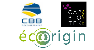 cbb-developpment