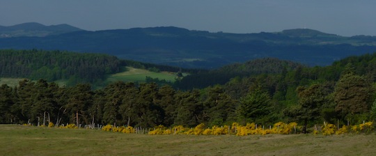 Forêts du Velay, photo Frédéric Douard