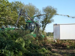 Chantier bois-énergie Test Breizh Forêt Bois n°1, photo Abibois