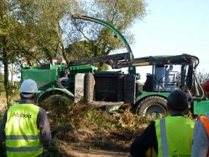 Déchiquetage lors du Chantier Test Bretagne n°1, photo Abibois