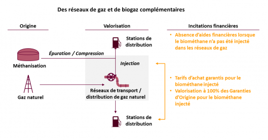 Cliquer sur l'image pour l'agrandir.