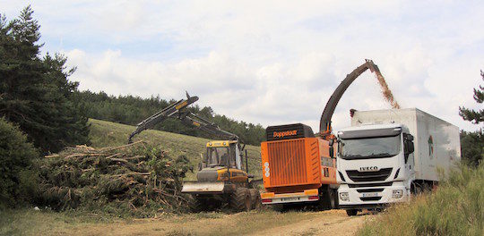 Chantier de déchiquetage de l'ASL Le Tréboux dans les Alpes de Haute-Provence, photo Marie de Guisa, AgroParisTech