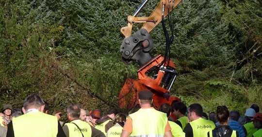 Abattage de douglas en échec lors du chantier Test bois-énergie Breizh Forêt Bois n°1, photo Abibois