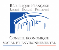 Conseil_économique,_social_et_environnemental_-_logo