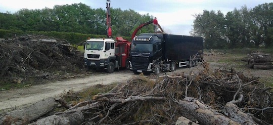 Les coopératives forestières françaises mobilisées sur le bois-énergie