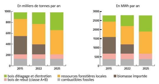 Mix énergétique de la nouvelle unité Provence 4 Biomasse