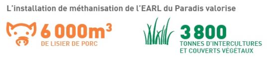 Valo Earl du paradis