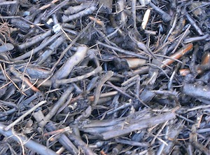 Le bois-énergie obtenu à partir des déchets verts, photo Hantsch