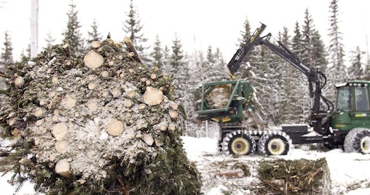 Chantier hivernal de fagottage de bois-énergie en Finlande, photo Tekes