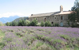 2014, une bonne année pour les chaufferies bois dans les Pyrénées-Orientales