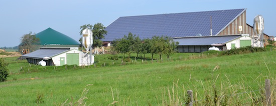 Le GAEC Hillmar à Lohr, photo MT Energie