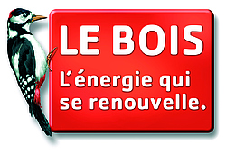 Le bois, énergie qui se renouvelle