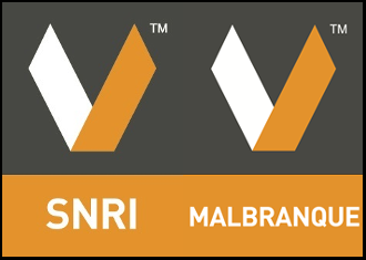 logo Snri