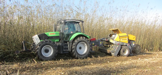 Récolte de TTCR de saules au biobaler à la ferme Ronckier, photo Sotraver