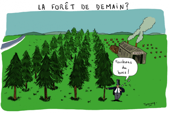 Touchons du bois, dessin Tommy