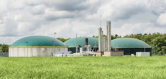 Biométhane en Allemagne, OFAEnR