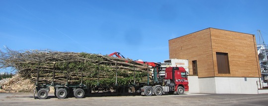 Grumier avec perches de bois-énergie chez Moulin TP, photo Moulin TP