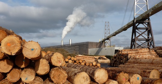 Le convoyeur aérien de Enerbois transportant les sous-produits de la scierie à granuler, ph. F. Douard