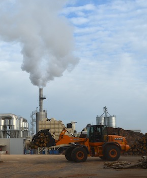 L'usine Biosyl est très majoritairement alimentée en rondins feuillus, photo Frédréic Douard