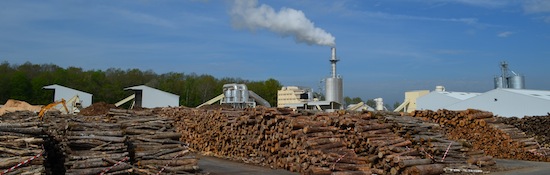 L'usine Biosyl et son stock de rondins feuillus, photo Frédéric Douard