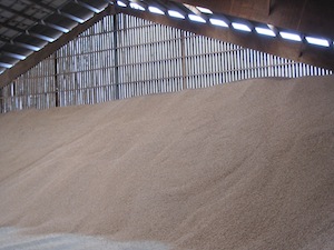 Le nouveau silo de granulés à plat, photo ABE