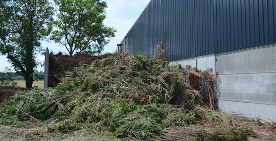 Produire des huiles essentielles avec des déchets végétaux comme énergie