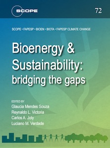 Bioenergy & sustainability