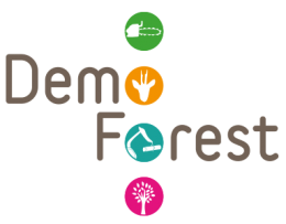 Démo Forest 2015