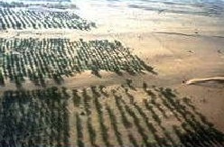 muraille_verte_senegal