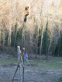 Débardage de bois-énergie par téléphérique